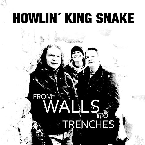 Albumcover From Walls to Trenches